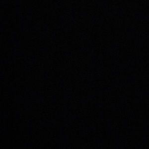 Meet your Posher, Bailey